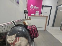 -荔康动物医院(康王北路店)