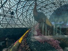 -花之城