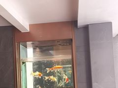 -浩运·海鲜青岛菜·海胆水饺(石老人店)