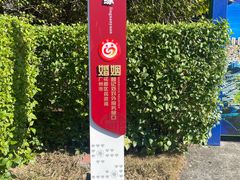 -广东花都湖国家湿地公园