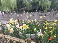 -文瀛公园