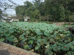 -苏州吴中太湖旅游区