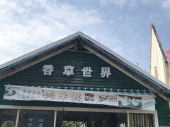 -广东花都香草世界旅游度假区