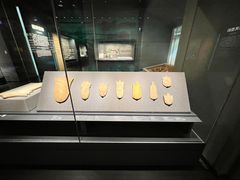 -广西壮族自治区博物馆