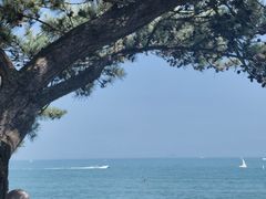 -青岛海滨风景区