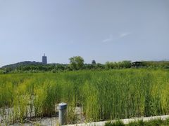 -永定河休闲森林公园