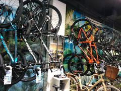 -GIANT捷安特自行车专卖店(金桥台儿庄路店)