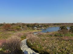 -上海海湾国家森林公园