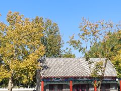 -莲花池公园