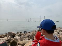 -宝安西湾红树林湿地公园