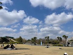 -新江湾城公园