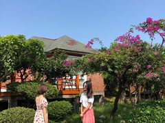 -杨梅坑