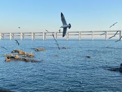 -黑石礁公园