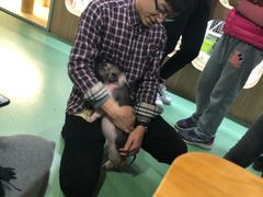 -藦茜花园宠物主题亲子互动体验馆(国顺东路店)