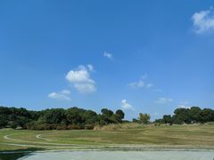 -漕湖湿地公园