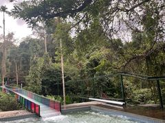 -海南槟榔谷黎苗文化旅游区