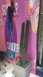 -木北造型