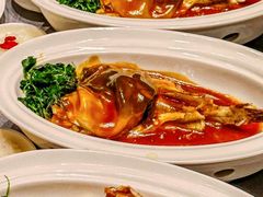 -新光酒家·河豚·海鲜·蟹料理(浦东店)