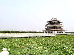 -呼兰河口湿地公园