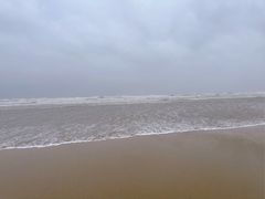-日照海滨国家森林公园