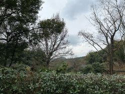 -尚圣月子会所·庄园式月子中心(萧山湘湖店)
