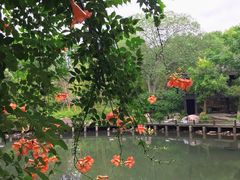 -白马涧龙池景区