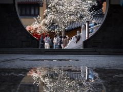 -灵谷景区