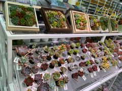 -KKV(天津津南吾悦广场店)