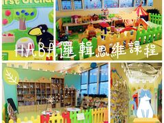 -辫豆HABA逻辑思维课程(群力总校)