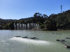 -广州白江湖森林公园