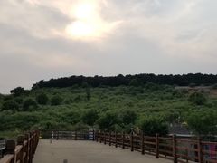 -梨木台悦来客农家院
