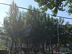 -五月古筝钢琴私塾