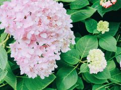 -常州古运河南大街文化旅游区-人民公园