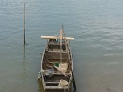 -大湾区中央湿地公园-十九涌