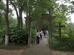 -白马涧龙池景区