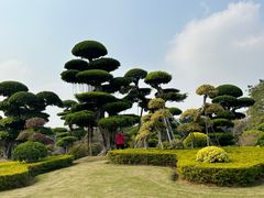-南宁南湖公园