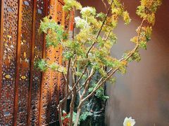 -金狮麟·新豫菜(杏石口路店)