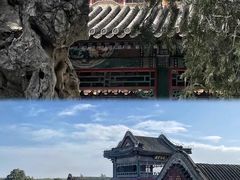 -颐和园
