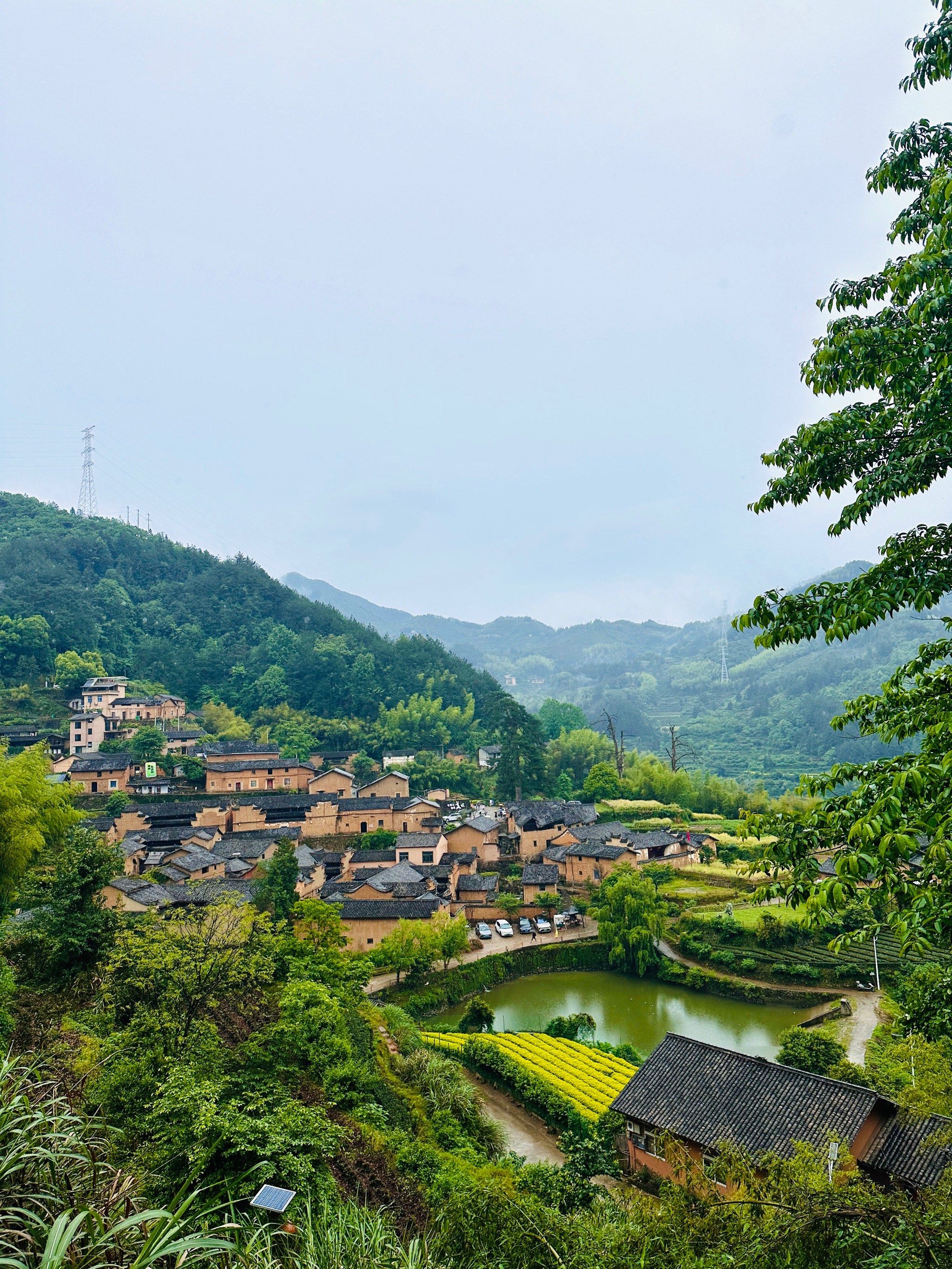 来浙江丽水登上云端的秘境小村庄