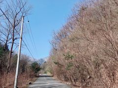 景点-朱雀国家森林公园
