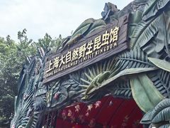 -上海大自然野生昆虫馆