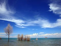 -青海湖国家重点风景名胜区
