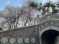 -保定市动物园
