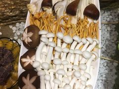 -慢丽江·云南野生菌土鸡锅(付家庄店)