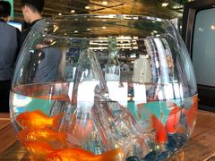 景观位-烛影拾光观景餐厅·创意菜·摄影·小提琴(大唐不夜城店)