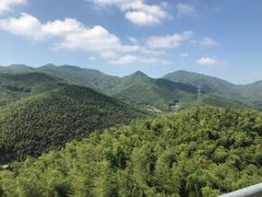 -宁波浙东大竹海景区