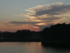 -大兴滨河森林公园