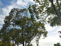 -苏州国际教育园