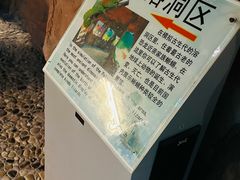 -上海大自然野生昆虫馆(东方明珠·爬宠昆虫探索中心)
