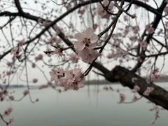 -潮汕三宝鲜牛肉火锅